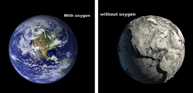 Scientists Warn: Earth Could Undergo An Upheaval! Atmospheric Oxygen Levels May Revert Back To 2.4 Billion Years Ago