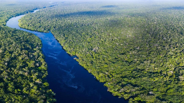 How Scary Is The Amazon River? Why Can't a Bridge Cross It?