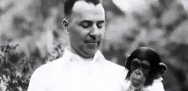 In 1931, a Scientist Accidentally Turned His 10-Month-Old Son Into An Orangutan By Keeping Him With Him