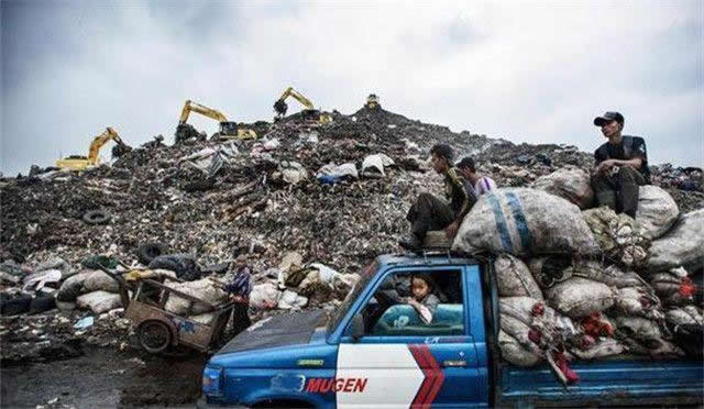 Thousands Of Large Birds Live In India's Largest Rubbish Dump, So Why Do Locals Prefer To Starve Rather Than Eat Them?